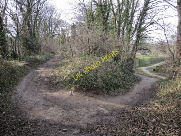 Photo 6"x4" Footpaths in Greenfield Valley Greenfield\/Maes-Glas c2011