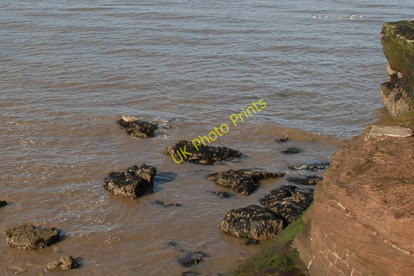 Photo 6"x4" Common Seal basking below the cliff Hoylake c2011