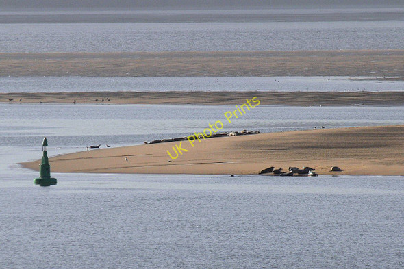 Photo 6"x4" West Bar marker buoy Hoylake c2011