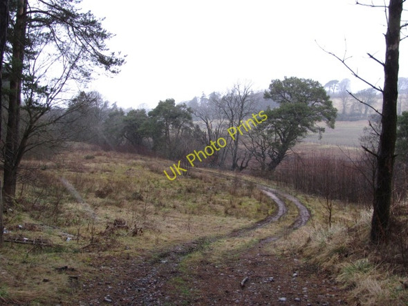 Photo 6"x4" Scattered trees, Garvald Dolphinton c2011