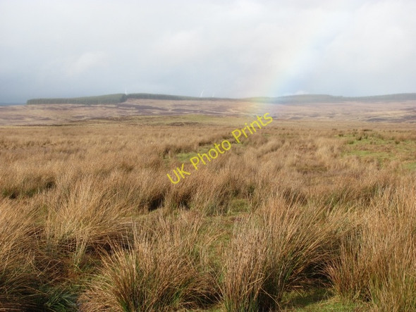 Photo 6"x4" Wet grassland, Weston Weston\/NT0347 c2011