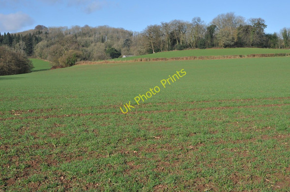 Photo 6"x4" Site of Motte and Bailey, Llangibby Llangybi\/ST3796 c2011
