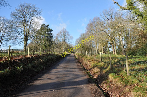 Photo 6"x4" Driveway to Llangibby Castle Farm Llangybi\/ST3796 c2011