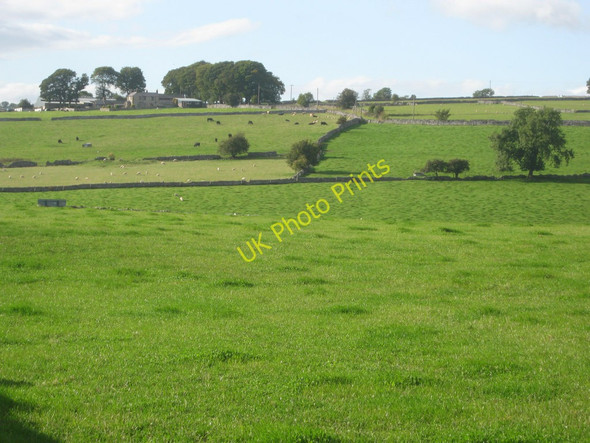 Photo 6"x4" Fields at New Close Farm Bakewell c2010