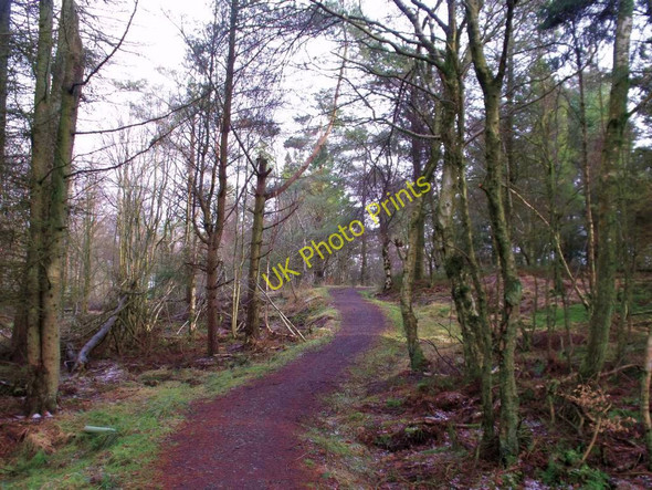 Photo 6"x4" Cumbernauld, Glencryan Woods Cumbernauld c2011