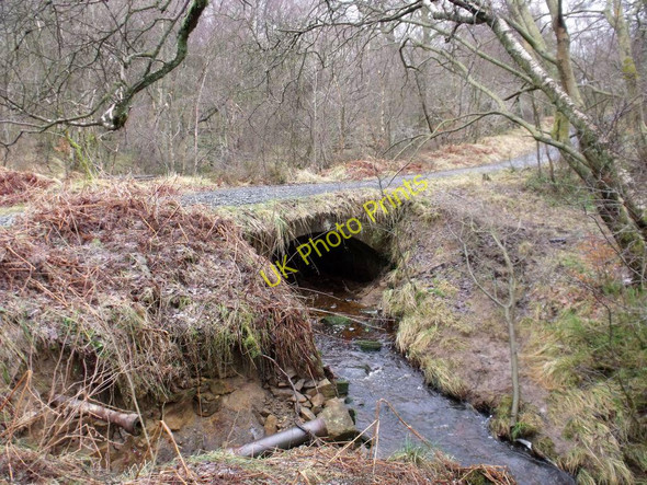 Photo 6"x4" Cumbernauld, Glencryan Burn Cumbernauld c2011