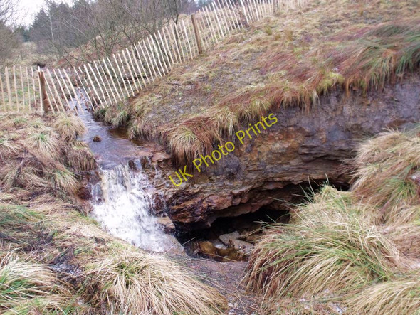 Photo 6"x4" Cumbernauld, Palacerigg Cumbernauld c2011 P1