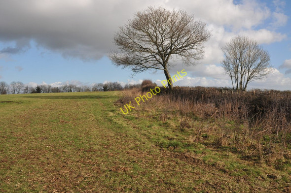 Photo 6"x4" Farmland near Coed-y-Paen Usk\/Brynbuga c2011