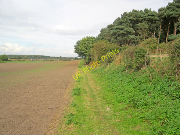Photo 6"x4" Footpath at Ollerton Hills Ollerton\/SK6567 c2010