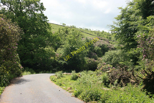 Photo 6"x4" Bridleway at Brent Moor House Didworthy c2008