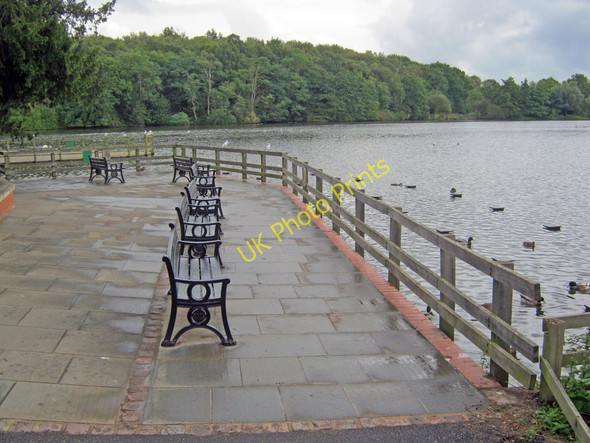Photo 6"x4" Seats by Rufford Lake Lidgett c2010