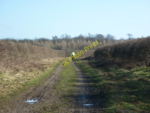 Photo 6"x4" Heading towards Hendale Wood Searby c2011