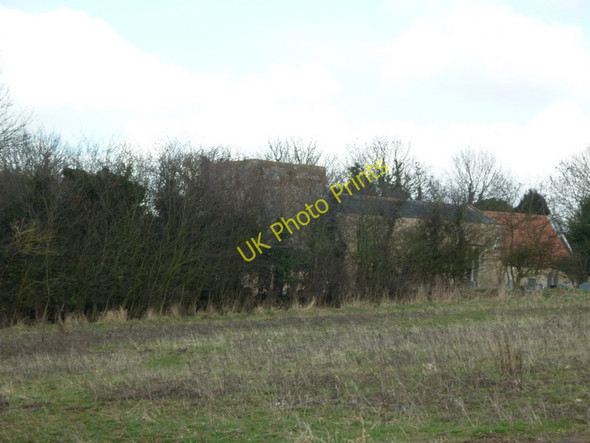 Photo 6"x4" Hiding behind the tree's Barnetby le Wold c2011