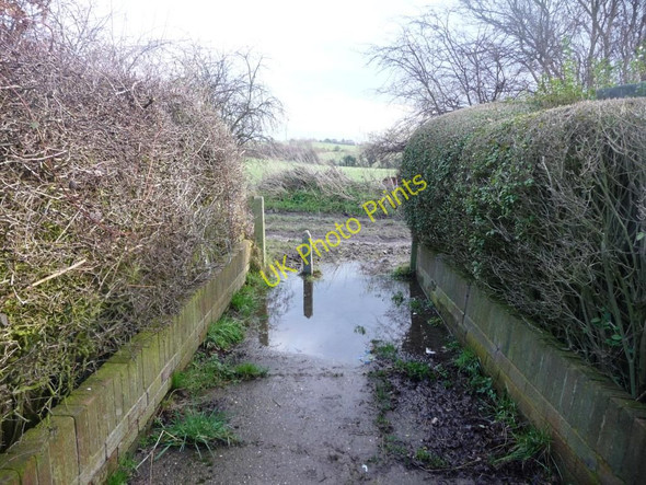 Photo 6"x4" Waterlogged footpath Brierley\/SE4110 c2011