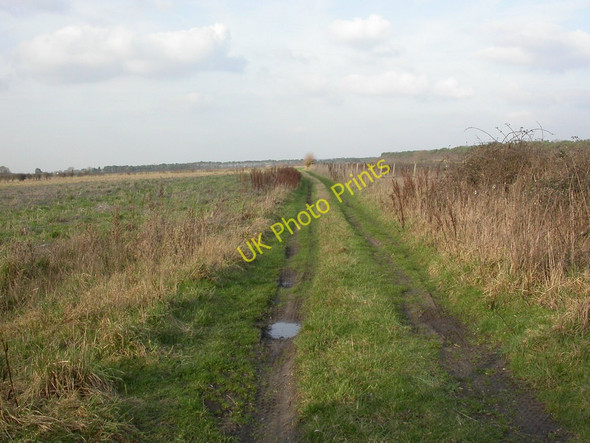 Photo 6"x4" Bisterne, farm track Bisterne c2011