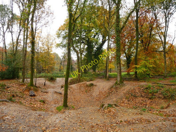 Photo 6"x4" Savernake Forest - Depression In The Ground Marlborough\/SU1869 c2010