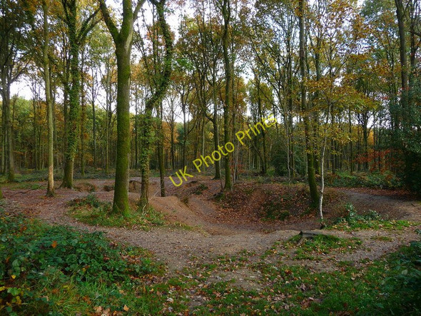 Photo 6"x4" Savernake Forest - Depression Marlborough\/SU1869 c2010