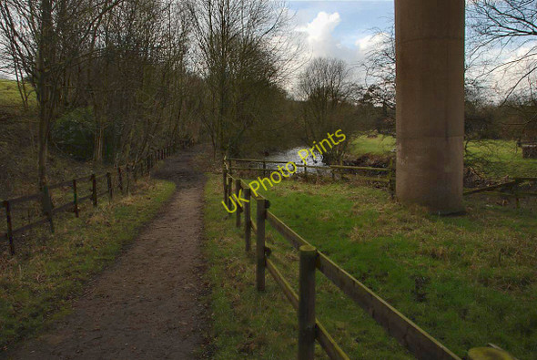 Photo 6"x4" Footpath to Dean Wood Gathurst c2011