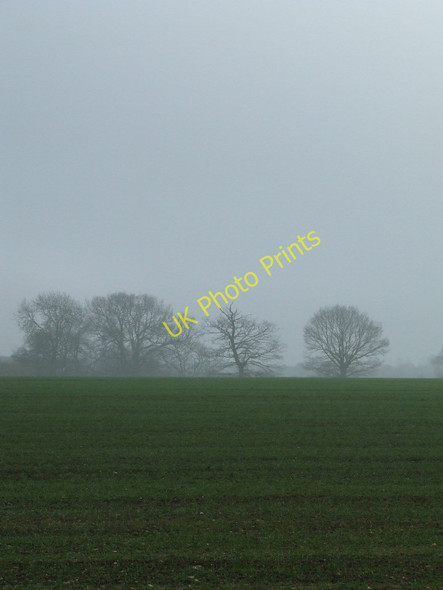 Photo 6"x4" Distant Trees Birds End c2011