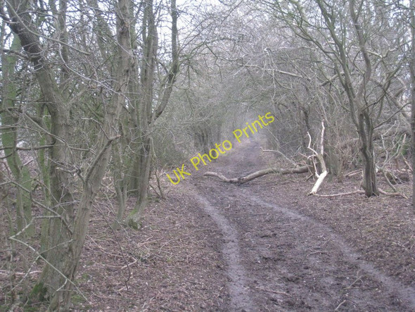 Photo 6"x4" Not much green in Green Lane Wetwang c2011