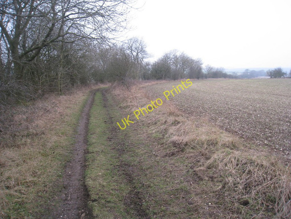 Photo 6"x4" Along Green Lane Wetwang c2011