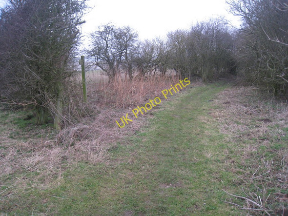 Photo 6"x4" The Chalkland Way enters Green Lane Wetwang c2011