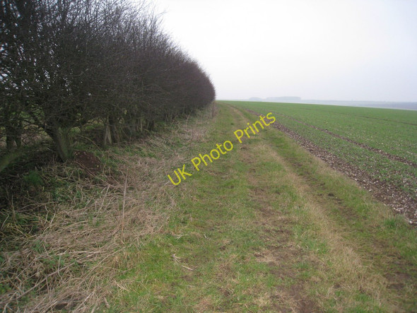 Photo 6"x4" Alongside the hedge on the Chalkland Way North Dalton c2011