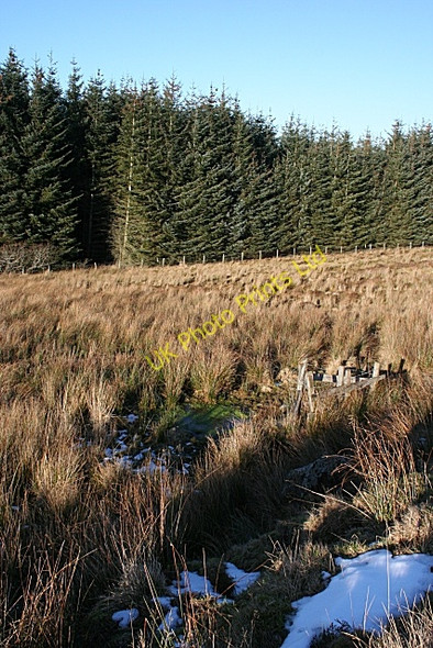Photo 6"x4" On Gallow Hill Haugh of Glass c2008