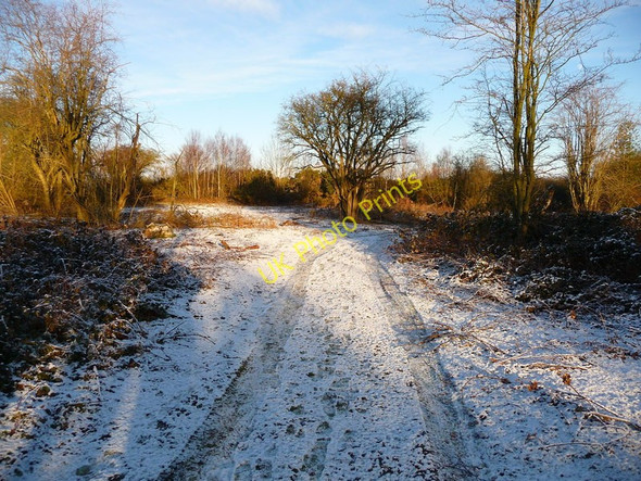 Photo 6"x4" Stockbridge - Stockbridge Down Leckford c2010
