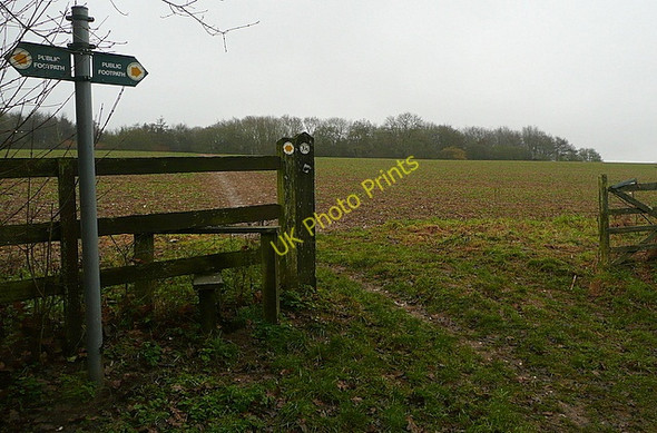 Photo 6"x4" Footpath towards Bagnor Wood Hunt's Green\/SU4370 c2011