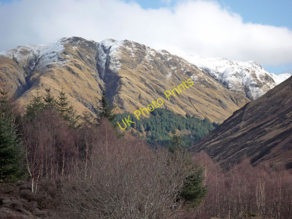Photo 6"x4" View towards A' Ghlas-bheinn from the forestry road Carn-gorm c2011