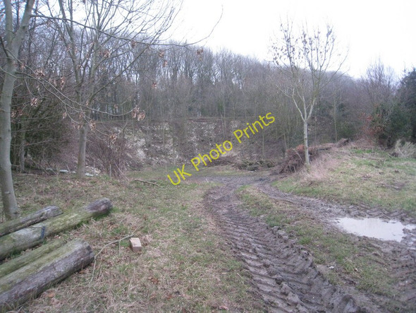 Photo 6"x4" Disused pit near North Grange North Dalton c2011