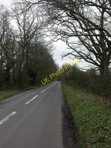 Photo 6"x4" Cripplestyle, Batterley Drove Crendell c2011