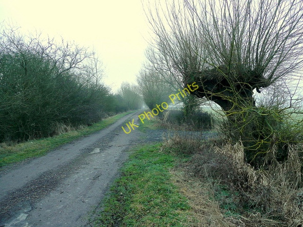 Photo 6"x4" Ham Lane Hasfield c2011