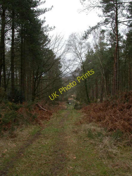 Photo 6"x4" Gotham, footpath Cripplestyle c2011