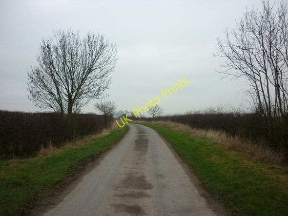 Photo 6"x4" Looking north along Swine Road Skirlaugh c2011