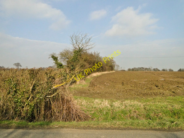 Photo 6"x4" Hedge and field boundary on Rookery Farm, Kelsale Saxmundham c2011