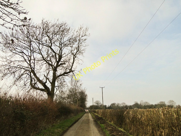Photo 6"x4" Trimmed and untrimmed hedges Saxmundham c2011