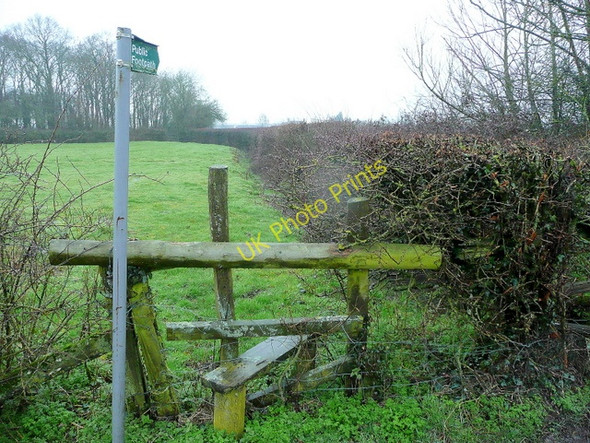 Photo 6"x4" Footpath on a damp morning Bulley c2011