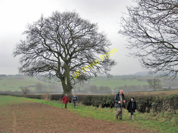 Photo 6"x4" Sticking to the edge Crow Hill\/SO6326 c2011