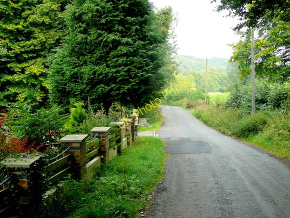 Photo 6"x4" Grewelthorpe to Mickley road Mickley\/SE2576 c2010