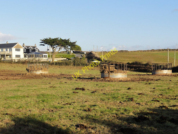 Photo 6"x4" Farmland Outside Polzeath Polzeath c2011