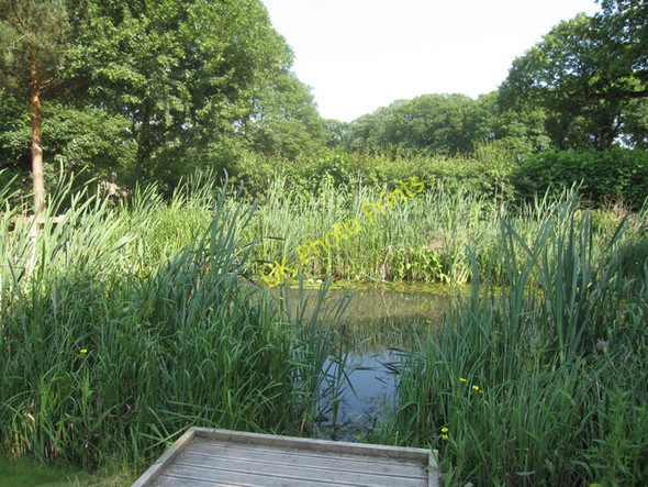 Photo 6"x4" Dipping Pond at Greenfield Valley Museum and Farm Greenfield\/Maes-Glas c2010