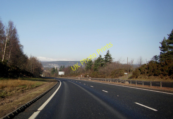 Photo 6"x4" A9 by Inshes Beechwood\/NH6944 c2011