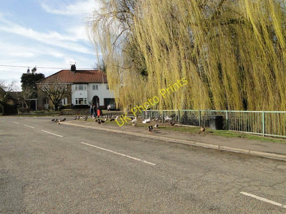 Photo 6"x4" Quackers in Swaffham Swaffham c2011