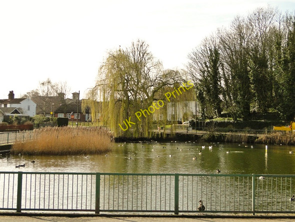 Photo 6"x4" The duck pond at Swaffham Swaffham c2011 P2