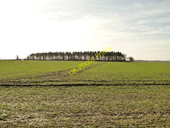 Photo 6"x4" Unnamed copse, from Hungry Hill, near Newton, Norfolk Newton\/TF8315 c2011