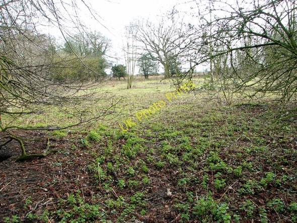 Photo 6"x4" Hales Hospital grounds Hales\/TM3897 c2011