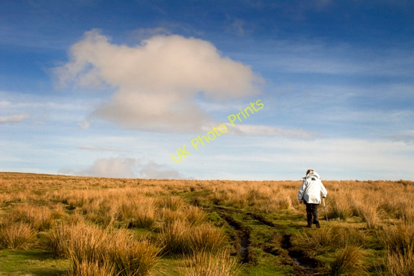Photo 6"x4" Crossing Hanlith Moor Malham\/SD9062 c2011