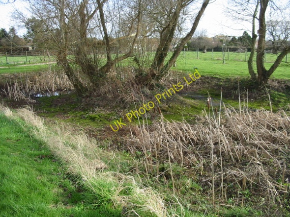 Photo 6"x4" Nearly dried up pond on Marley Lane, Finglesham Finglesham c2008